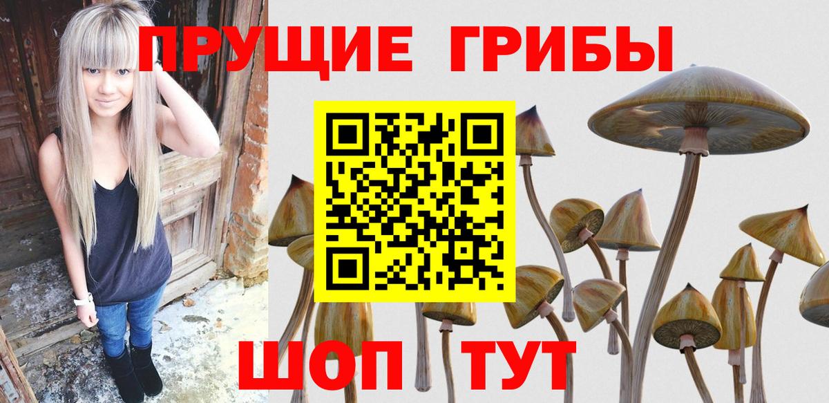 Псилоцибиновые грибы прущие грибы  Псилоцибиновые грибы мицелий  Вход с VPN  Тольятти 