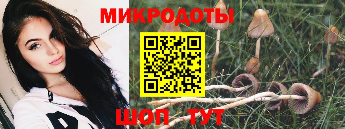 Галлюциногенные грибы MAGIC MUSHROOMS Тольятти